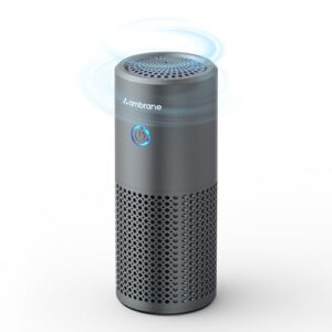 Ambrane Car Air Purifier, 4-Layer HEPA13 Filtration, Negative Ions, Activated Carbon, Removes Pollution, Virus, Dust, 2-in-1 Aroma Diffuser, Compact & Quiet, Adjustable Airflow (AeroBliss Auto, Grey)